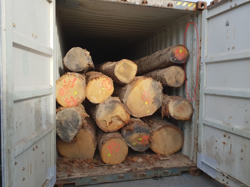 Lot de bois 2