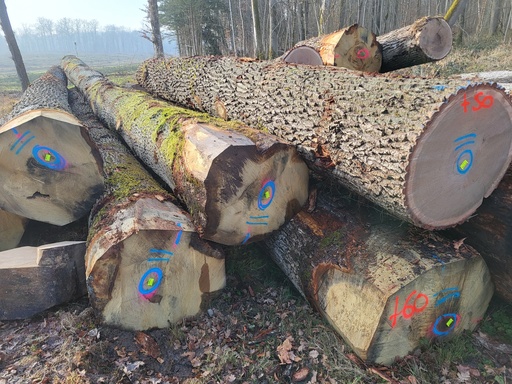 [FONTENAILLE] OAK ABC+ 90 CBM